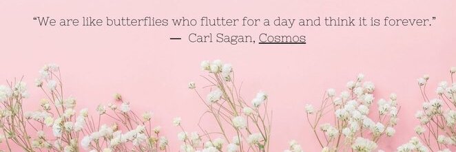Cathleen banner