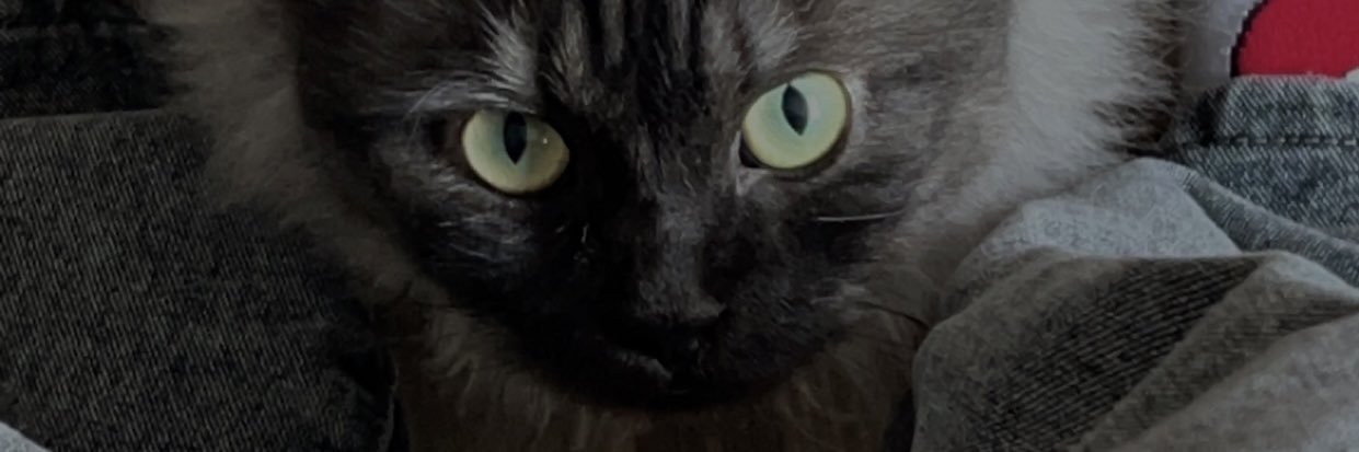rawlvl's profile banner image