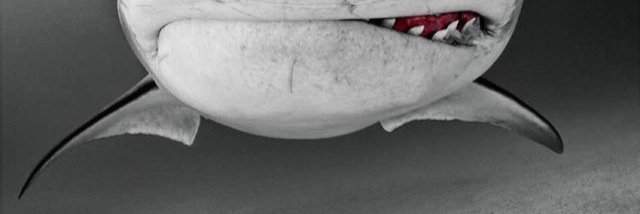 edlyntantia's profile banner image