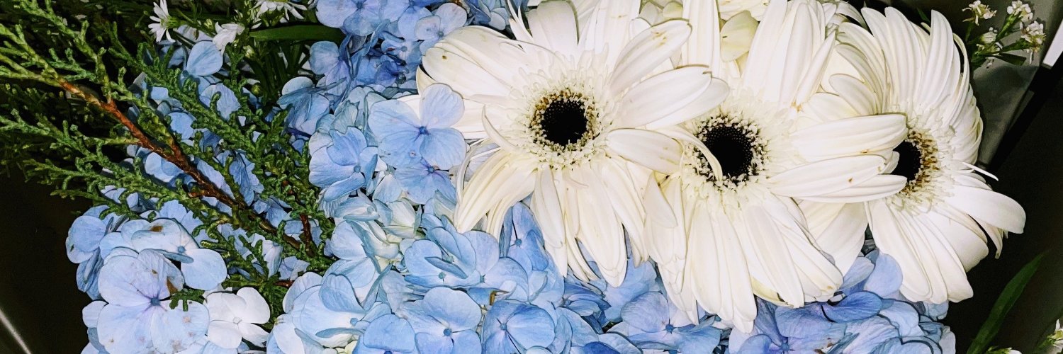 tievithasa's profile banner image