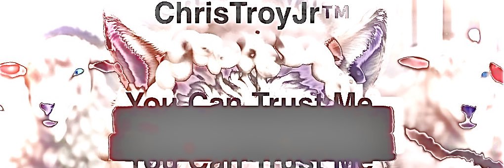 ChrisTroyJr's profile banner image