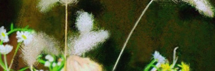 LAM. banner