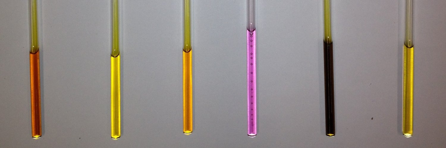 Nikolaus Gorgas banner