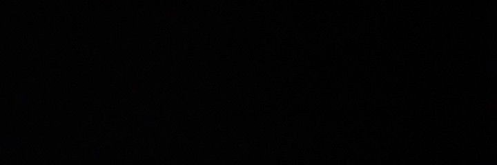 Monica💙🐳 | banner