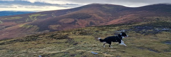 MireBuckley1 Profile Banner