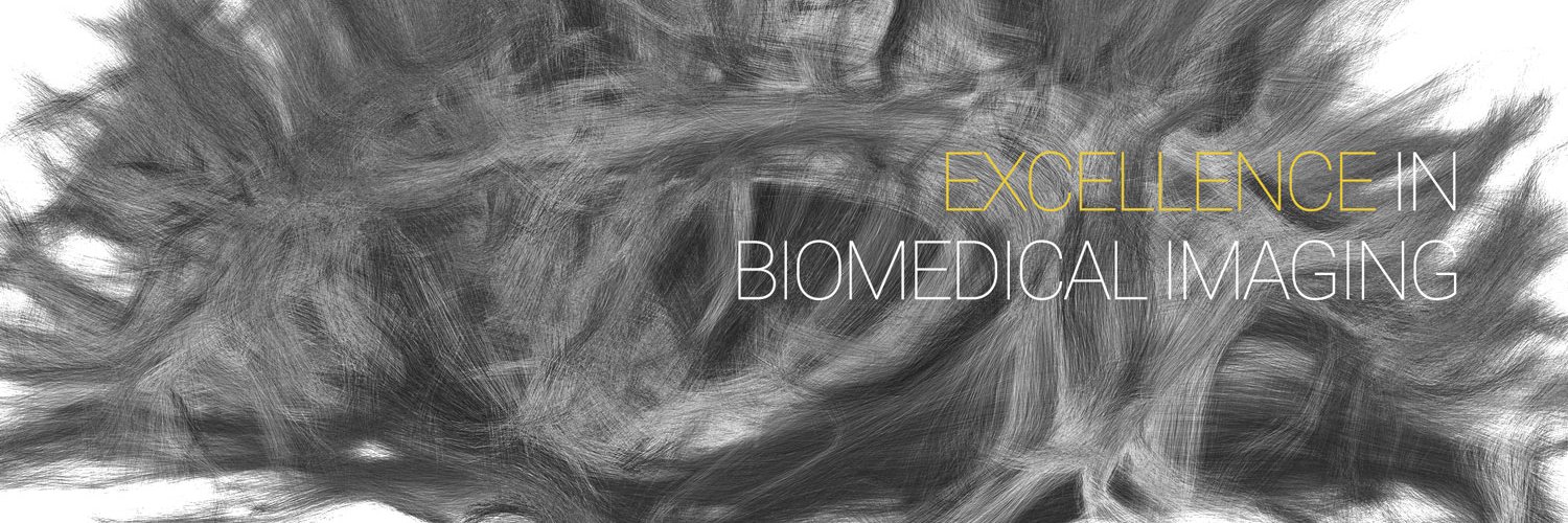 CIBM Centre d'Imagerie Biomedicale's banner