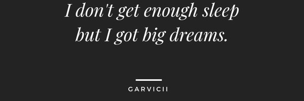 garvicii Profile Banner