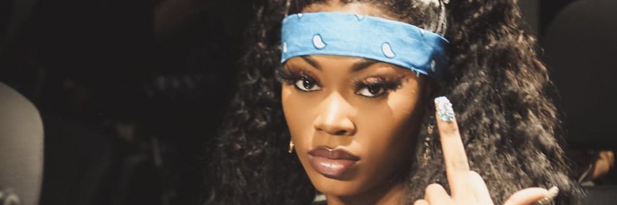 DesiBee2x's profile banner image