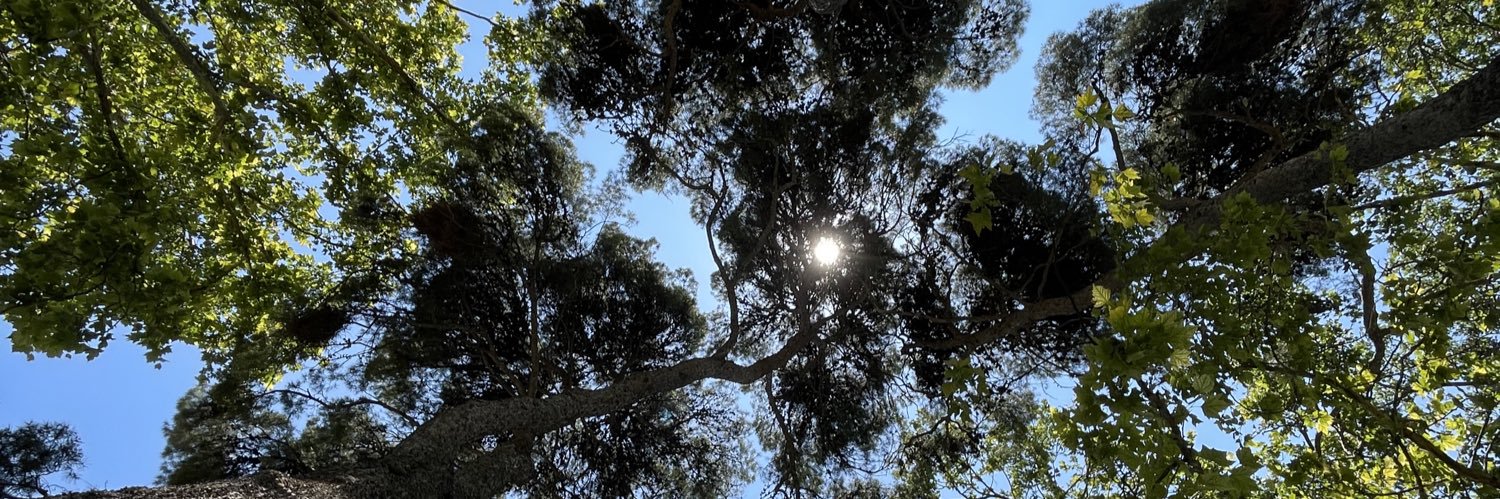 near life experience banner