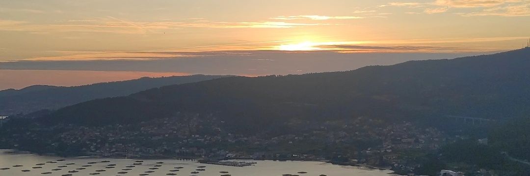 Davicho2897's profile banner image