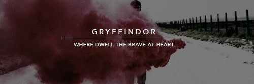 James Potter 🦌 banner