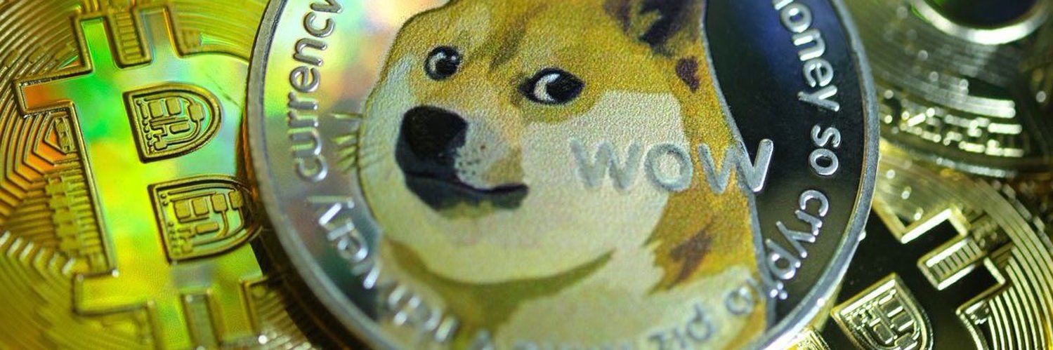 Allie Doge 🇧🇷🇺🇸 banner