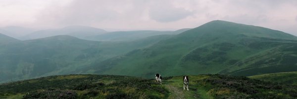 logannew7 Profile Banner