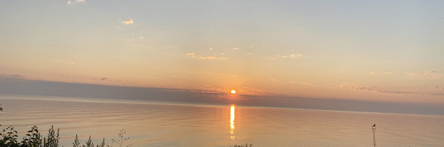 elizplants's profile banner image