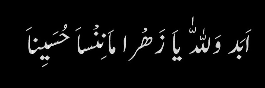 m0hammadi14's profile banner image