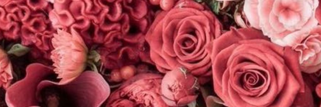 clauVazquezD's profile banner image