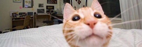 aceitunaaa666 Profile Banner