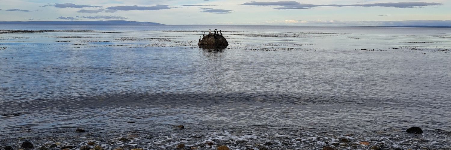 simplementeyo banner