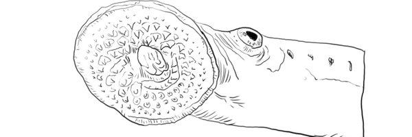 MenschEmily Profile Banner