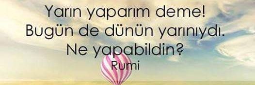 Fesleğen 🌿🕊️🌿's banner