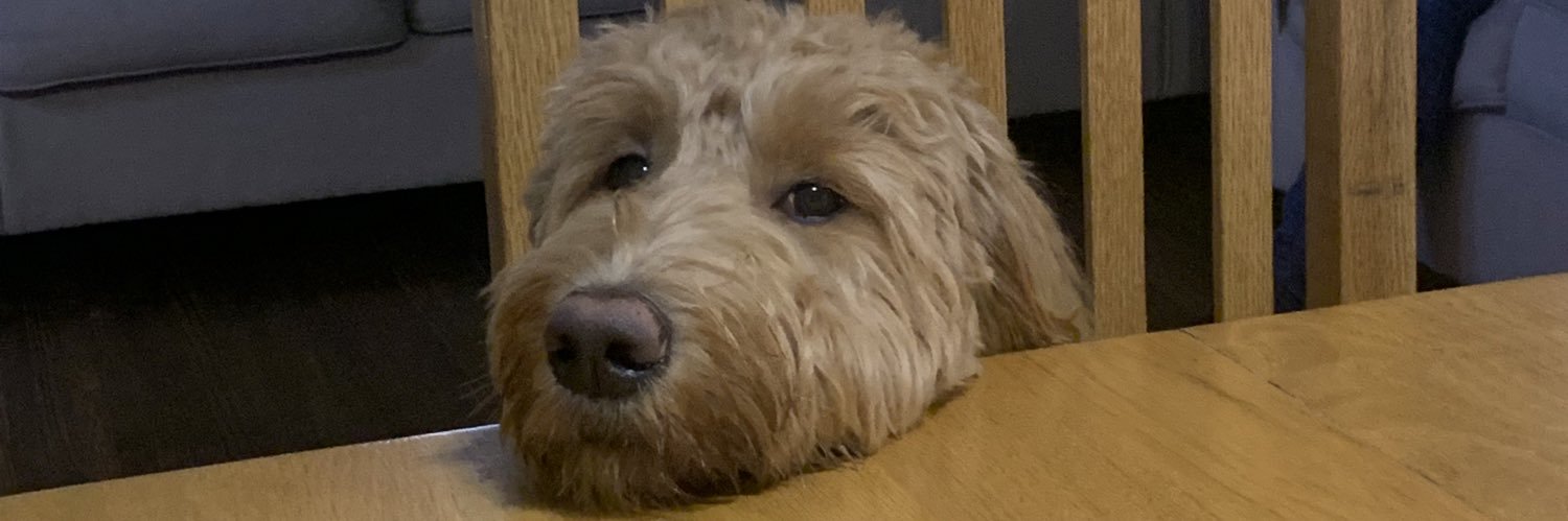 Miss St. Denis banner