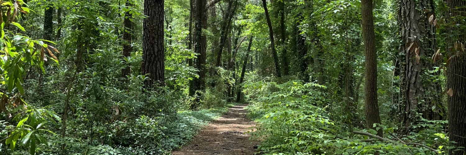 lina 🐈‍⬛ banner