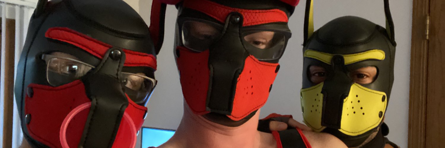 PupStorm30's profile banner image