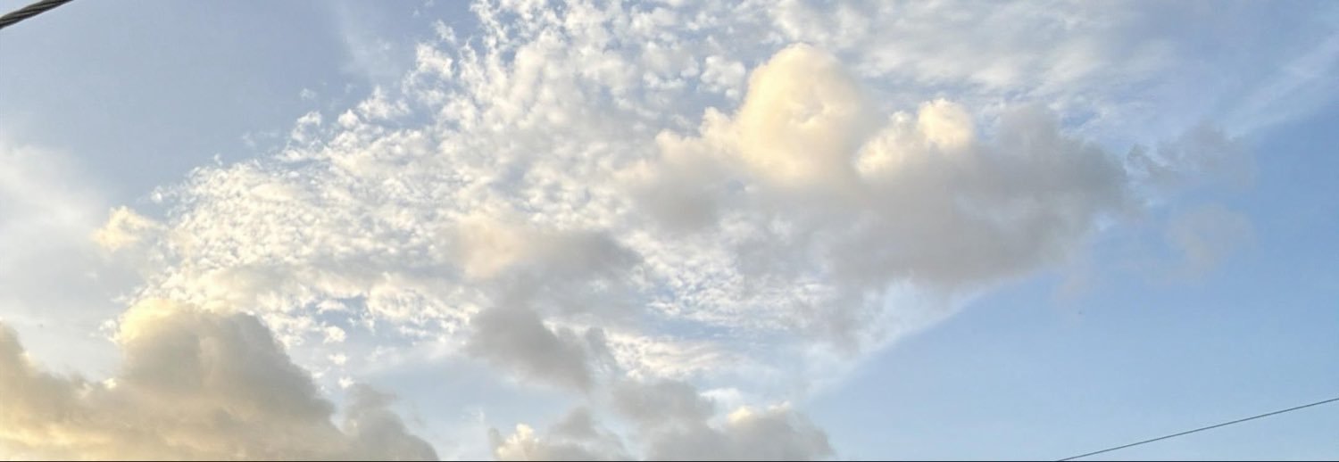 Mofongo75's profile banner image