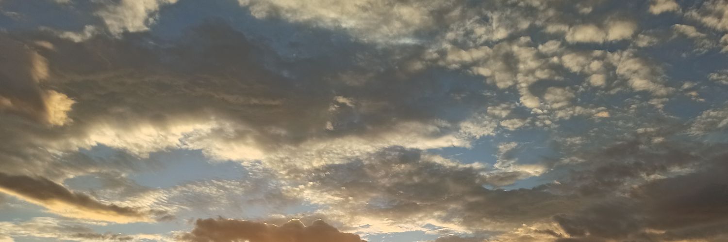FefyCamel's profile banner image