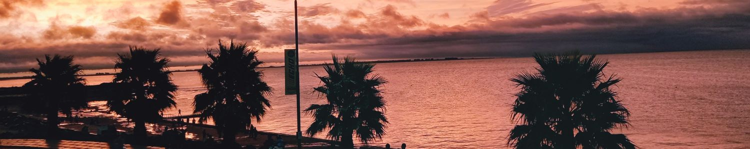Romy_dlv's profile banner image
