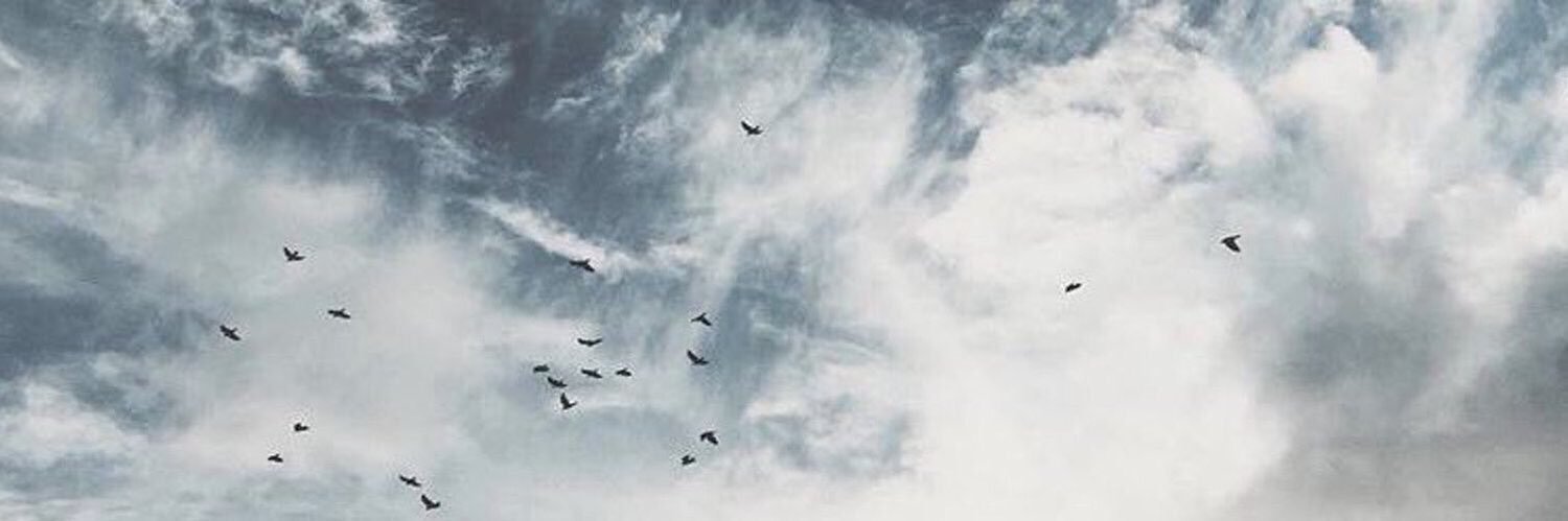 95zon's profile banner image