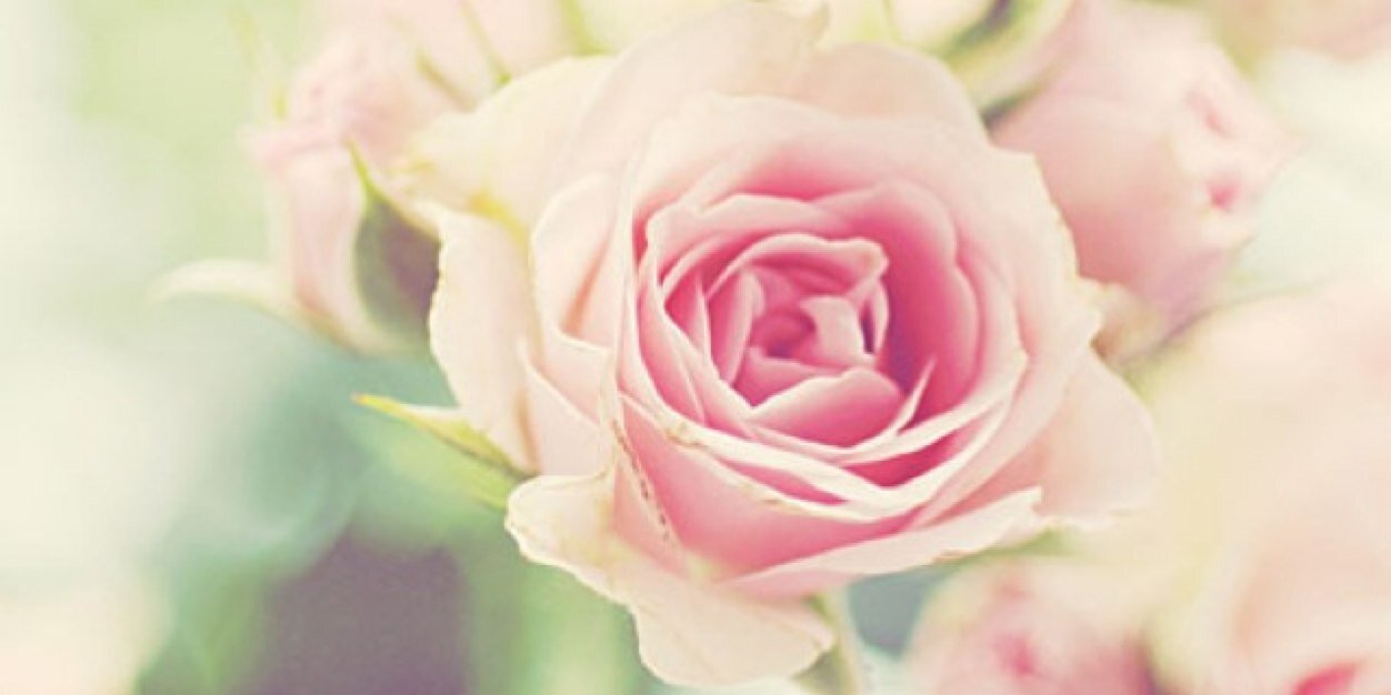 Venessathe_'s profile banner image