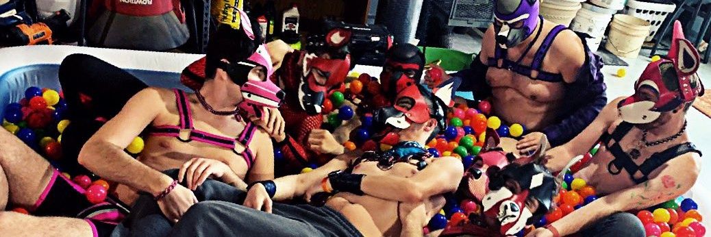 Pup Zero 🐾 banner