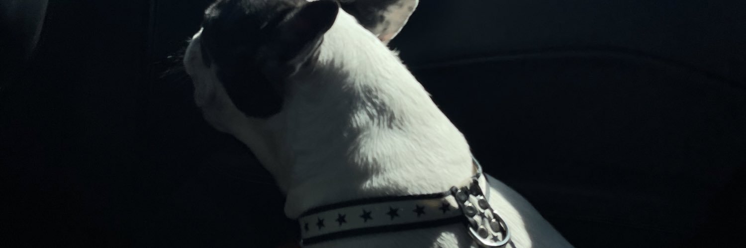 mirandaroca08's profile banner image
