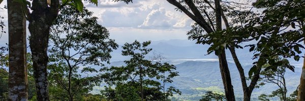 paulo_arev Profile Banner