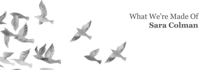 sara colman 💙 banner