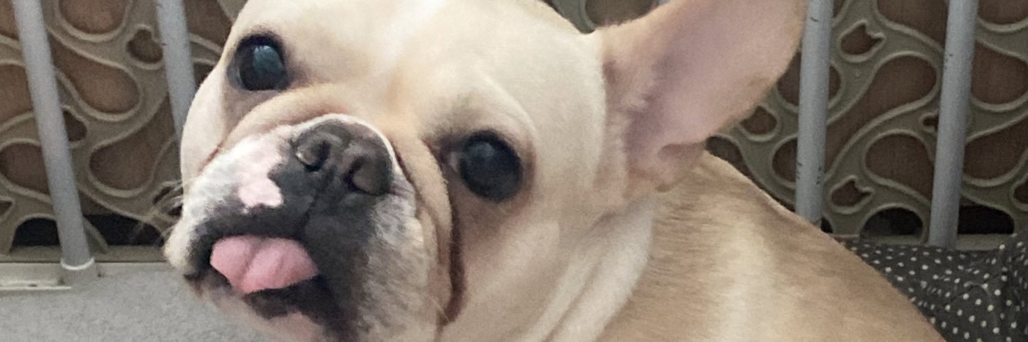 karinajavalos's profile banner image