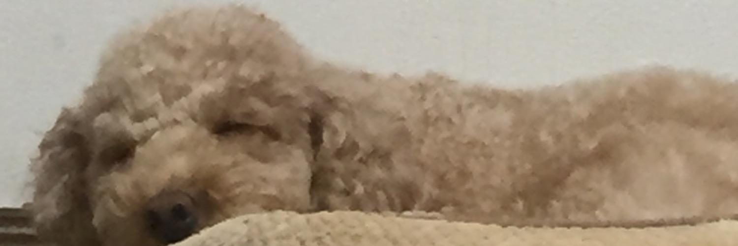 seto106's profile banner image