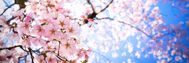 気分は雨ちゃん☔️ banner