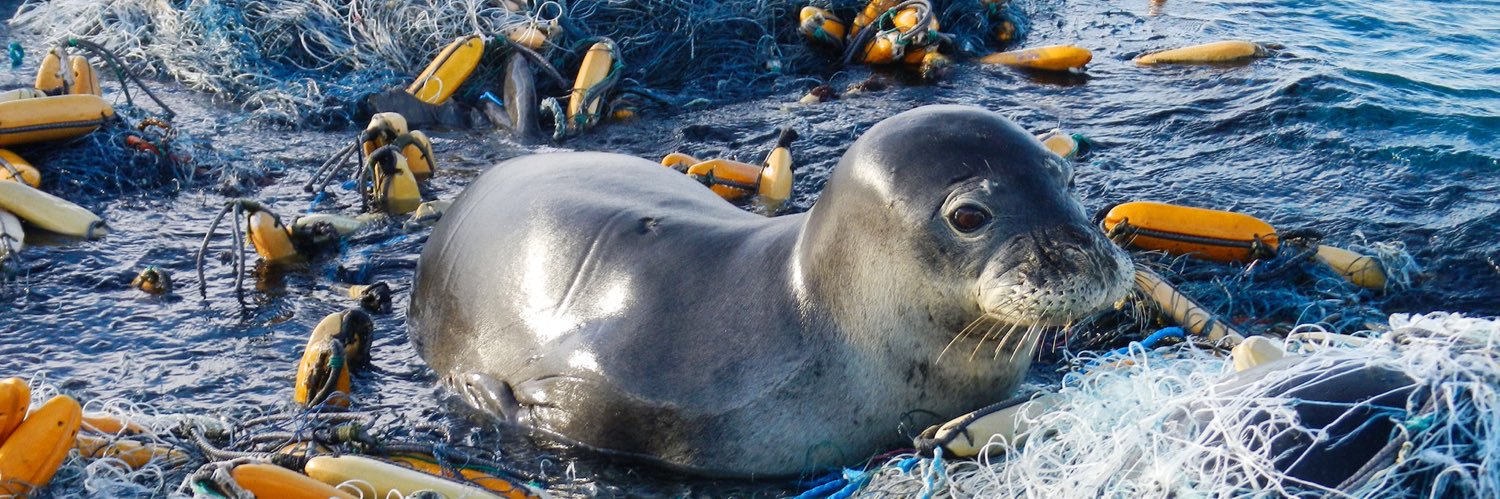 Papahānaumokuākea Marine Debris Project banner