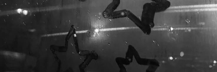 такідзава роздає вайфай 🇺🇦 ~ ᨐ banner