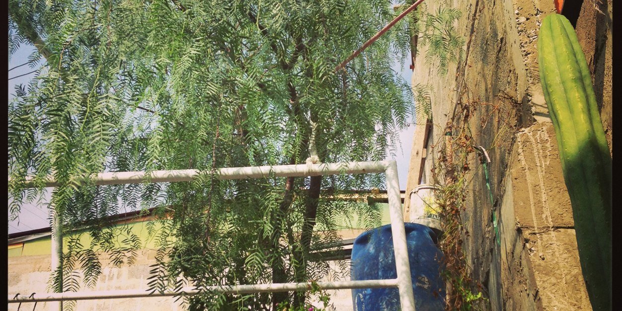 Jarixo's profile banner image