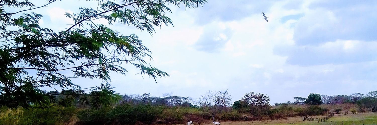 𝒜𝓃𝒶 𝒫𝒶𝑜𝓁𝒶... 🌺👩‍🌾 banner