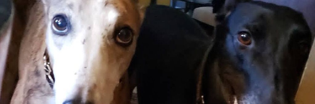 GaryLNJ's profile banner image