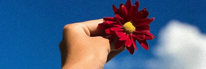 sugarbebiy's profile banner image