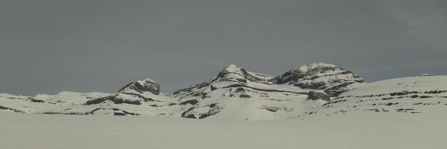 pinetell's profile banner image