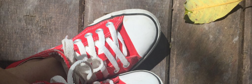 elienamonteiro's profile banner image