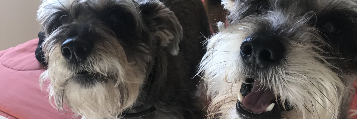 pameruffus's profile banner image