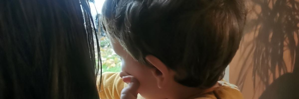 siamoqui's profile banner image
