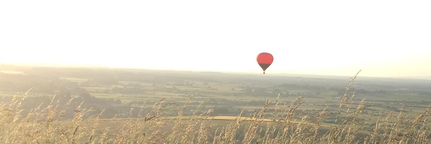 aimeelizabeth's profile banner image